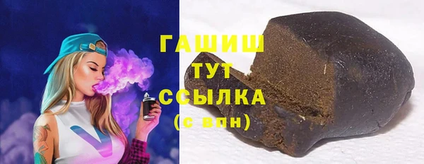 стаф Пересвет