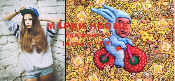 дмт Пестово