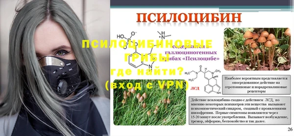 дмт Пестово