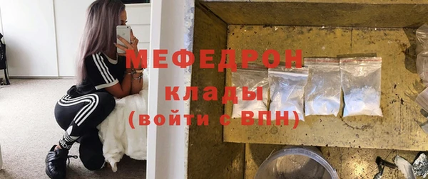 стаф Пересвет