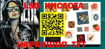 молекула духа Берёзовский