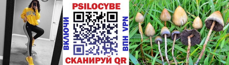 Псилоцибиновые грибы Psilocybine cubensis  Морозовск 