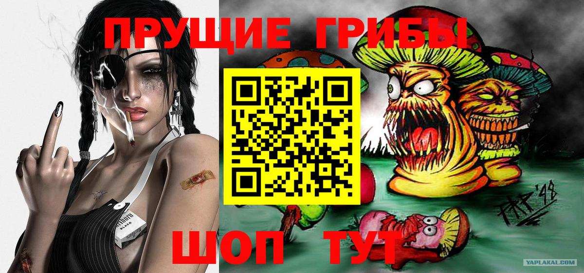 Псилоцибиновые грибы MAGIC MUSHROOMS  Псилоцибиновые грибы MAGIC MUSHROOMS  Морозовск 