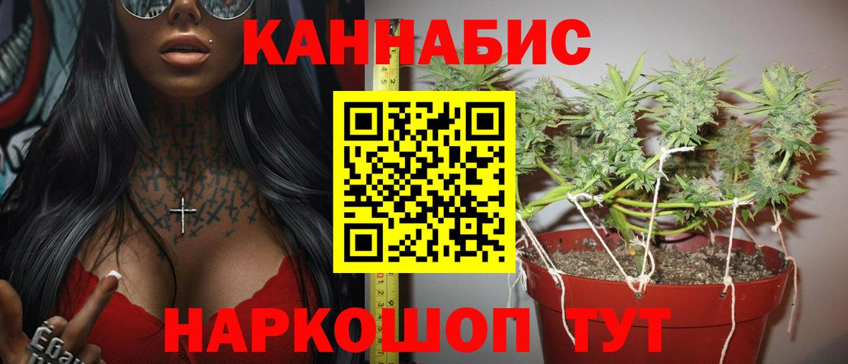 Каннабис тримм  Вход с VPN  Морозовск  Шишки марихуана White Widow 